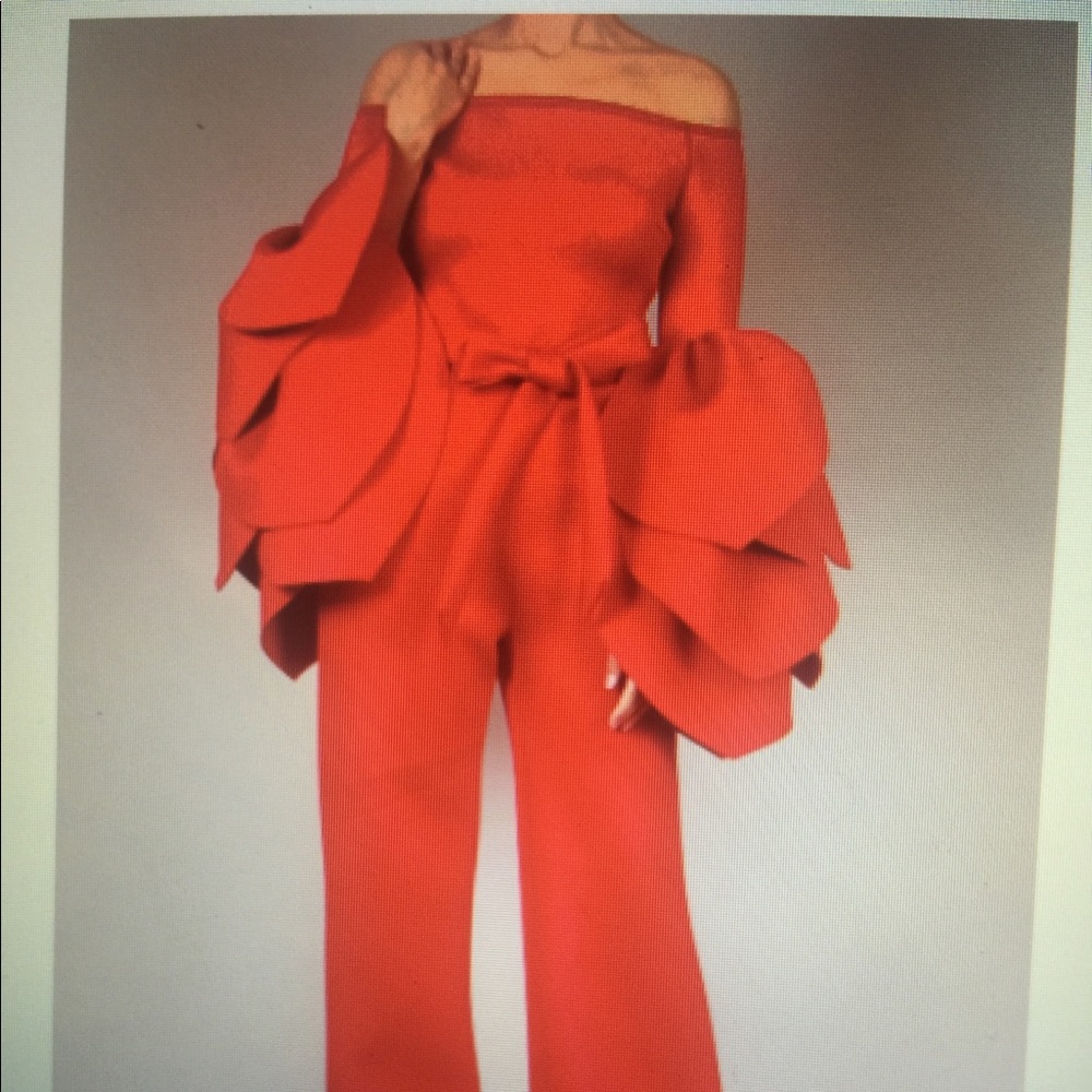 Jumper with Flare sleeves